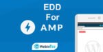 EDD For AMP amigpl.com