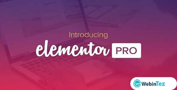Elementor Pro amigpl.com