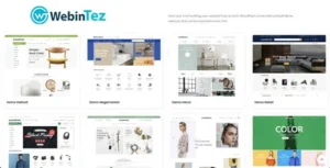 Multi-Vendor E-Commerce Website design amigpl.com
