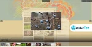 WordPress Creation Kit Pro amigpl.com