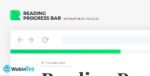 Reading Progress Bar amigpl.com