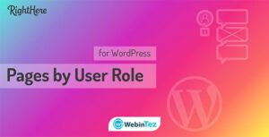 Pages by User Role amigpl.com