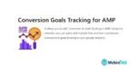 Conversion Goals Tracking amigpl.com