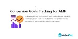 Conversion Goals Tracking amigpl.com