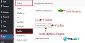 Conversion Goals Tracking amigpl.com