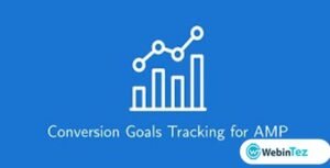 Conversion Goals Tracking amigpl.com