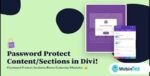 Divi Password Protected amigpl.com
