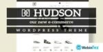 Tesla Themes Hudson amigpl.com