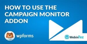 WS Form Campaign Monitor amigpl.com