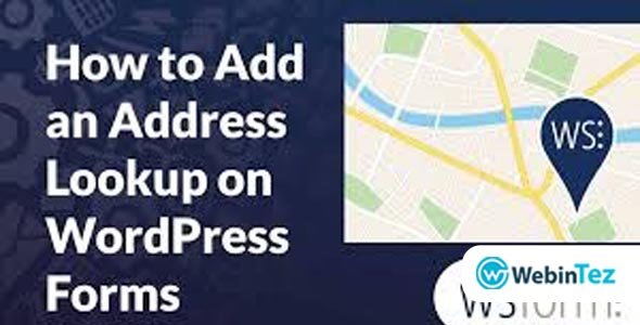 WS Form Google Address amigpl.com