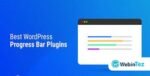 Zoom Progress Bars amigpl.com,
