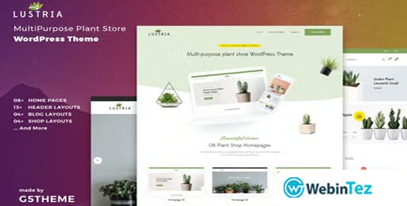Achilles amigpl.com
